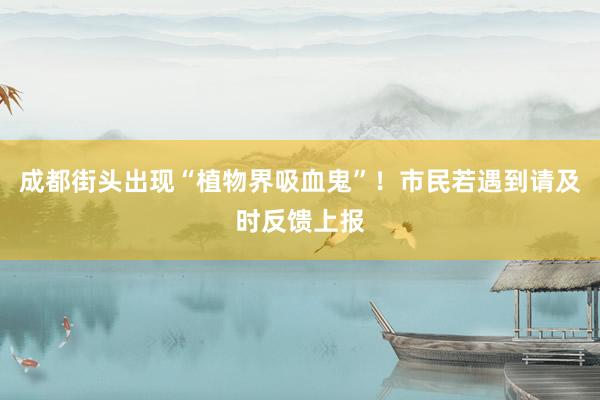 成都街头出现“植物界吸血鬼”！市民若遇到请及时反馈上报