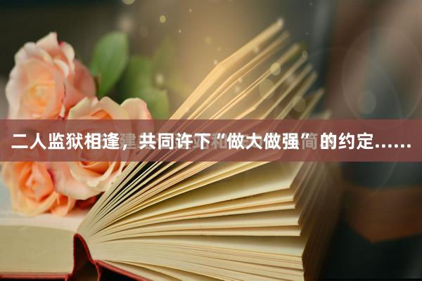 二人监狱相逢，共同许下“做大做强” 的约定......