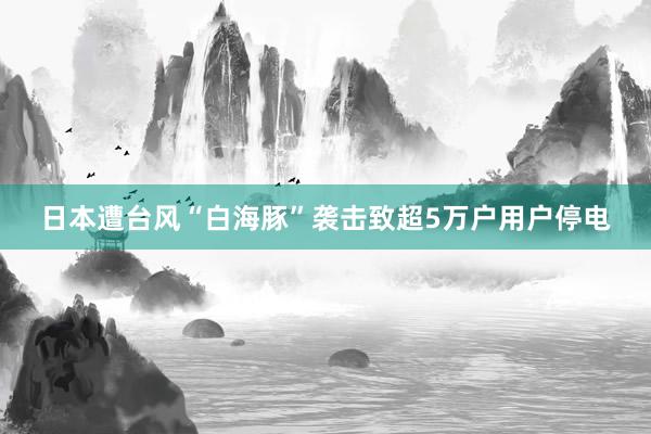 日本遭台风“白海豚”袭击　致超5万户用户停电