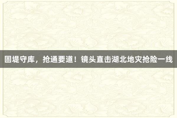 固堤守库，抢通要道！镜头直击湖北地灾抢险一线