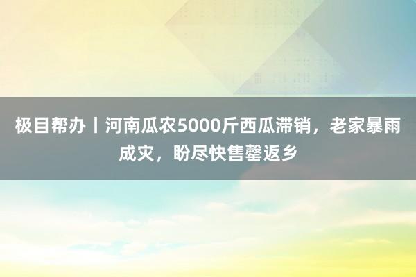 极目帮办丨河南瓜农5000斤西瓜滞销，老家暴雨成灾，盼尽快售罄返乡