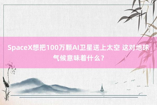 SpaceX想把100万颗AI卫星送上太空 这对地球气候意味着什么？