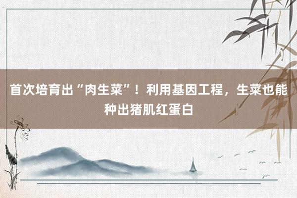 首次培育出“肉生菜”！利用基因工程，生菜也能种出猪肌红蛋白