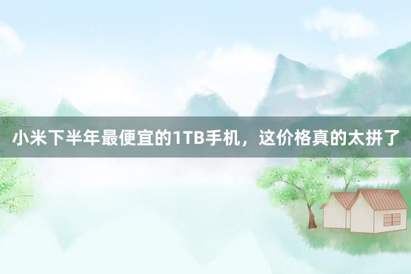 小米下半年最便宜的1TB手机，这价格真的太拼了