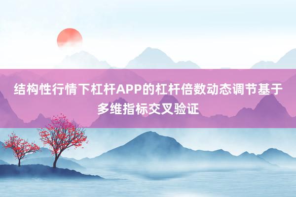 结构性行情下杠杆APP的杠杆倍数动态调节基于多维指标交叉验证