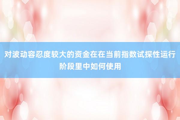 对波动容忍度较大的资金在在当前指数试探性运行阶段里中如何使用