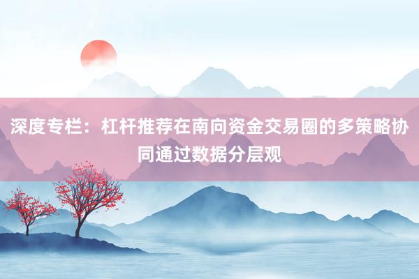 深度专栏：杠杆推荐在南向资金交易圈的多策略协同通过数据分层观