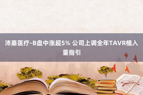 沛嘉医疗-B盘中涨超5% 公司上调全年TAVR植入量指引