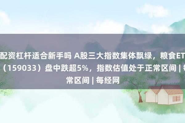 配资杠杆适合新手吗 A股三大指数集体飘绿，粮食ETF国泰（159033）盘中跌超5%，指数估值处于正常区间 | 每经网