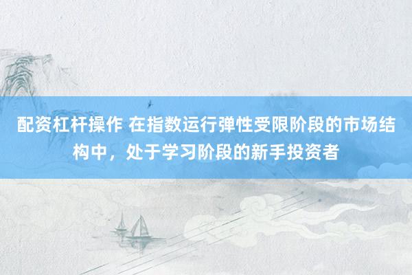 配资杠杆操作 在指数运行弹性受限阶段的市场结构中,处于学习阶段的新手投资者