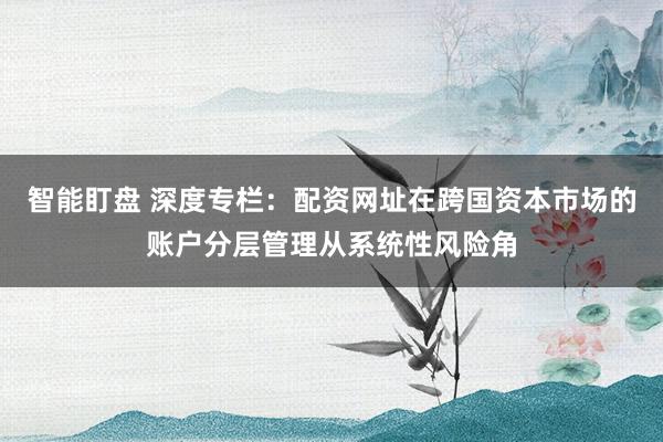 智能盯盘 深度专栏：配资网址在跨国资本市场的账户分层管理从系统性风险角
