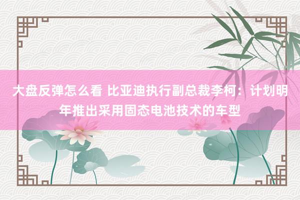 大盘反弹怎么看 比亚迪执行副总裁李柯：计划明年推出采用固态电池技术的车型