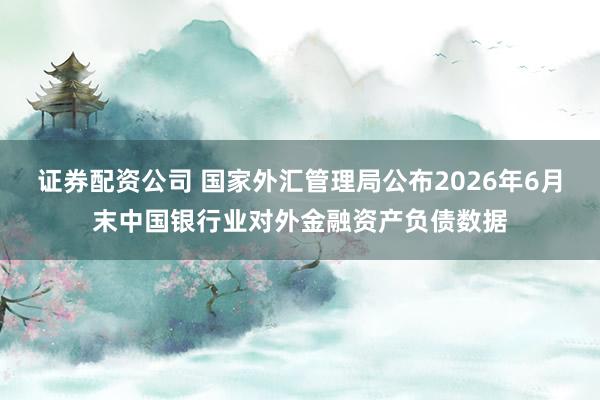 证券配资公司 国家外汇管理局公布2026年6月末中国银行业对外金融资产负债数据