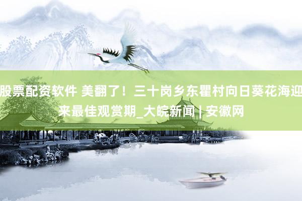 股票配资软件 美翻了！三十岗乡东瞿村向日葵花海迎来最佳观赏期_大皖新闻 | 安徽网