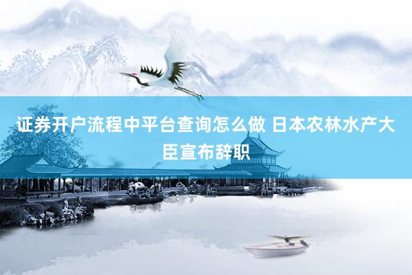 证券开户流程中平台查询怎么做 日本农林水产大臣宣布辞职