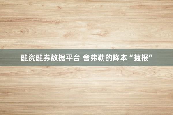 融资融券数据平台 舍弗勒的降本“捷报”