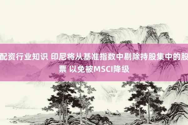 配资行业知识 印尼将从基准指数中剔除持股集中的股票 以免被MSCI降级