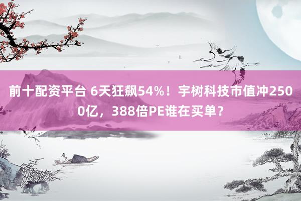 前十配资平台 6天狂飙54%！宇树科技市值冲2500亿，388倍PE谁在买单？